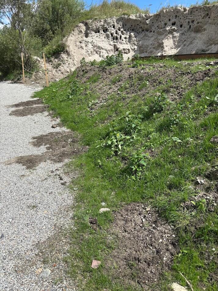 Hydroosev a spevňovanie svahu